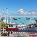 Busan Highlight City Tour with Sky Capsule, Gamcheon, Jagalchi &More - The Sky Capsule is a separate reason to book