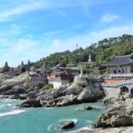Busan Highlights: Small Group, Hotel Pickup & Sky Capsule - Dalmaji-gil and Haedong Yonggungsa