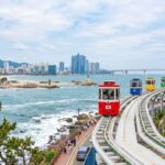 Busan Private City Highlights Tour for Cruise Passengers - What the price buys