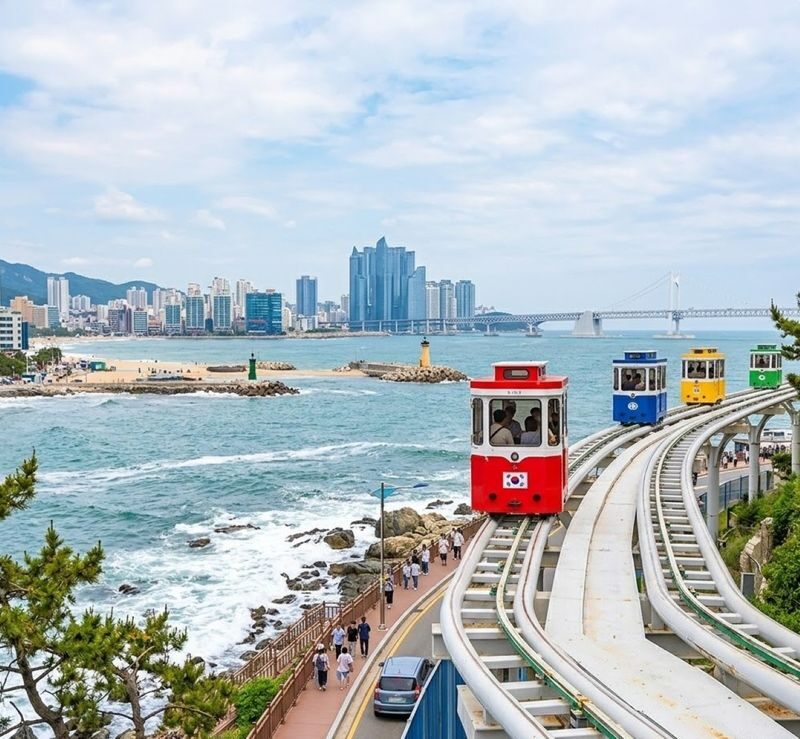 Busan Private City Highlights Tour for Cruise Passengers - What the price buys