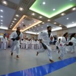 Busan Taekwondo Culture Experience - Learning kicks, poomsae, and basic self-defense