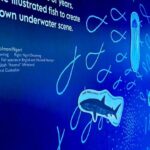 Busselton Jetty Marine Discovery Centre Admission Tickets - What the 30-minute viewing is like
