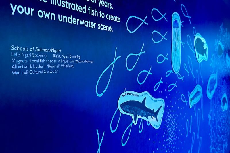 Busselton Jetty Marine Discovery Centre Admission Tickets - What the 30-minute viewing is like