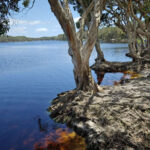 Byron Bay Farm, Solar Train & Lighthouse Day Tour - The farm: a change from the coast