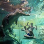 Cage of Death Ticket - Getting ready at Crocosaurus Cove