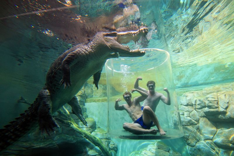 Cage of Death Ticket - Getting ready at Crocosaurus Cove