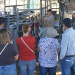 Camel Farm Experience in Brisbane - Tasting camel milk products