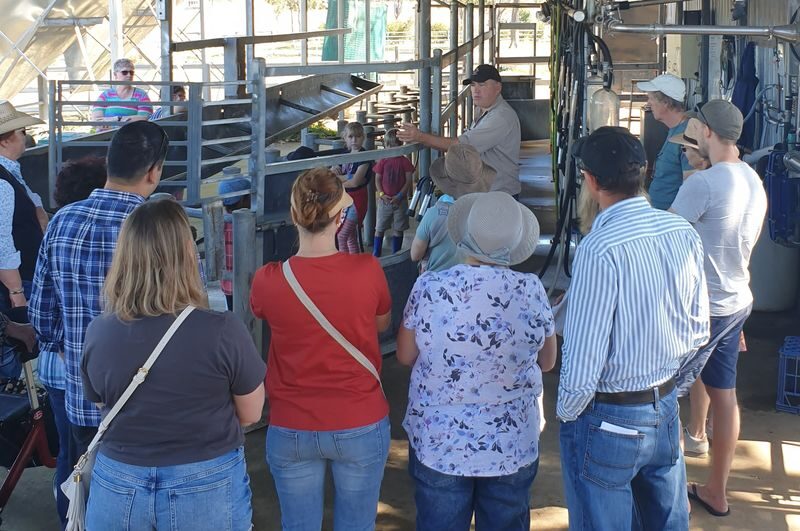 Camel Farm Experience in Brisbane - Tasting camel milk products