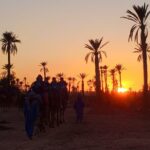 Camel Ride During Sunset at Palmeraie in Marrakech - The transfer keeps the outing simple