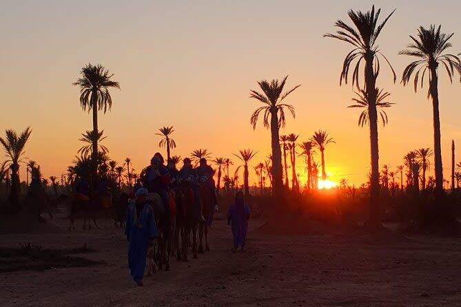 Camel Ride During Sunset at Palmeraie in Marrakech - The transfer keeps the outing simple