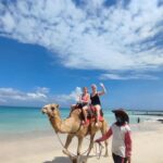 Camel Ride Experience in Bali - How the half-day schedule works