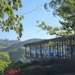 Cameron Highlands and Mossy Forest Half Day Tour - Mossy Forest: the reason to go