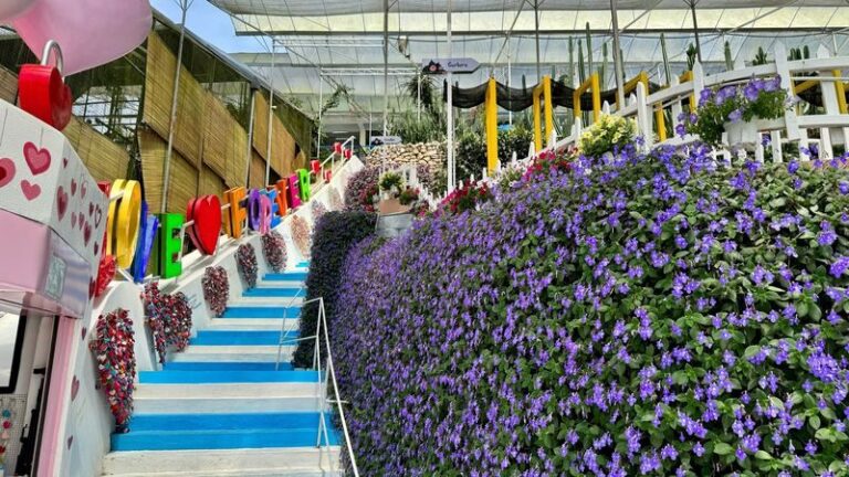 Cameron Highlands Guided Day Tour with Lunch (SIC) - Farms, fruit and small attractions
