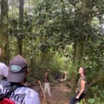 Cameron Highlands - Hit The Trails - Mossy Forest, where the plants take center stage