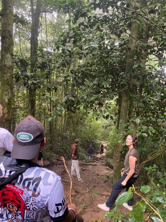 Cameron Highlands - Hit The Trails - Mossy Forest, where the plants take center stage