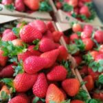 Cameron Highlands Private or Join In Day Tour from Kuala Lumpur - Lata Iskandar: a quick first stop