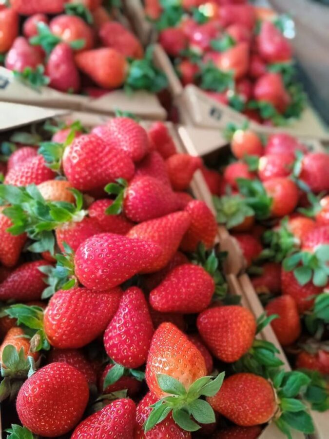 Cameron Highlands Private or Join In Day Tour from Kuala Lumpur - Lata Iskandar: a quick first stop