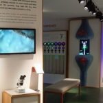 Cannabis Museum Amsterdam Ticket - Follow the story across three floors