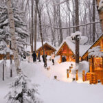 Cantonese and Mandarin/English | Biei Shirogane Blue Pond Illumination + Christmas Tree + White Birch Forest + Ningle Terrace + Shirahige Waterfall | Furano Lunch + Milk Postcard - The bus ride is part of the bargain