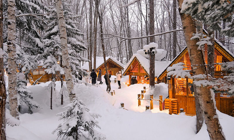 Cantonese and Mandarin/English | Biei Shirogane Blue Pond Illumination + Christmas Tree + White Birch Forest + Ningle Terrace + Shirahige Waterfall | Furano Lunch + Milk Postcard - The bus ride is part of the bargain
