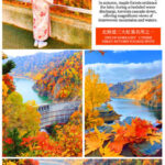 Cape Kamui, Otaru Canal & Fruit Picking Day Trip - Cape Kamui: the main event