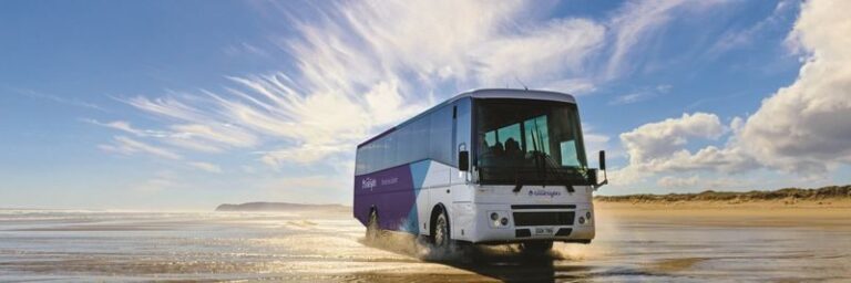 Cape Reinga and Ninety Mile Beach Full Day Tour - Ninety Mile Beach by coach, not by car