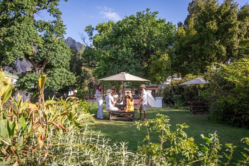 Cape Town Full-Day Wine Tasting & Tram Experience with Guided Tour - The tram adds a change of pace