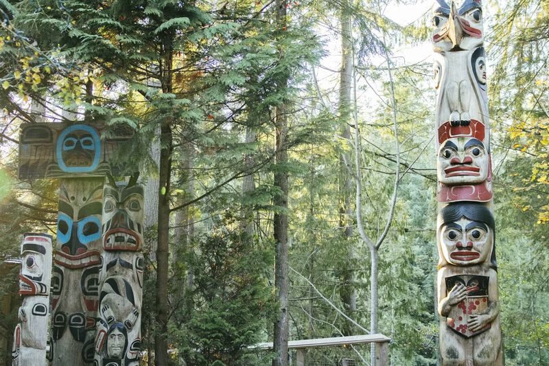 Capilano Suspension Bridge Park Ticket in Vancouver - Treetops Adventure among the Douglas firs
