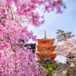 Capitals of Japan end Kyoto 8-Day Tour by Europamundo (2026-27 Departures) - Hiroshima and Miyajima: memory, resilience, and a ferry crossing