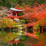 Capitals of Japan end Kyoto GO 8-Day Tour by Europamundo - Day 2: Tokyo’s temples, towers and Shinjuku streets