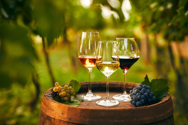 Cappadocia Vineyard and Wine Tasting with Fairy Chimneys Day Tour - Pigeon Valley’s dovecotes and walking paths