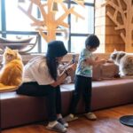 Cat Cafe MOCHA (Ikebukuro Main Store) - What the one-day pass buys