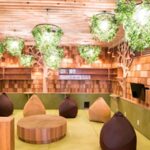 Cat Cafe MOCHA in Akihabara - What your visit looks like