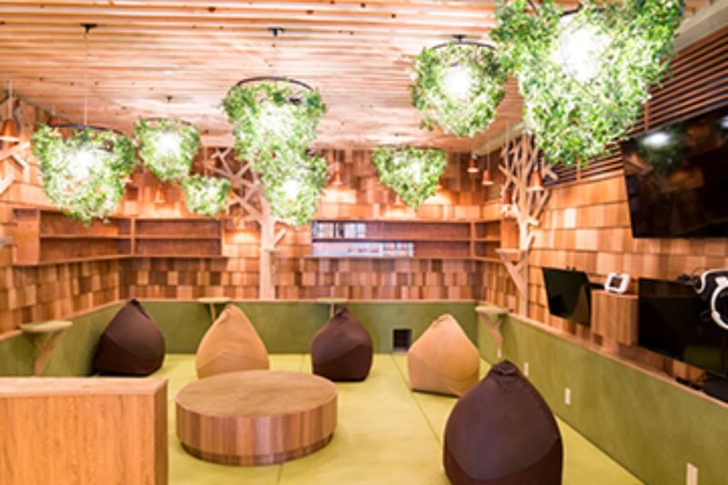 Cat Cafe MOCHA in Akihabara - What your visit looks like