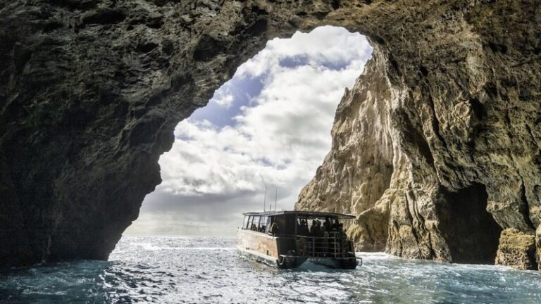 Cathedral Cove, Coast & Cave Tour - Cathedral Cove from the water