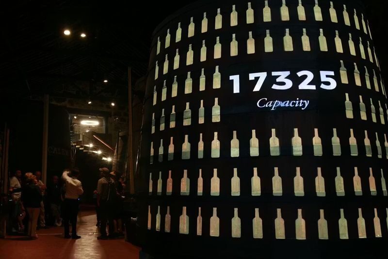 Caves Calem Tour with Wine Tasting in Porto - The cellar tour puts the process in context