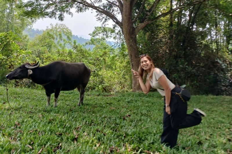 Cebu Farm Life Tour - Adlawon Farm: animals, crops, and hands-on work