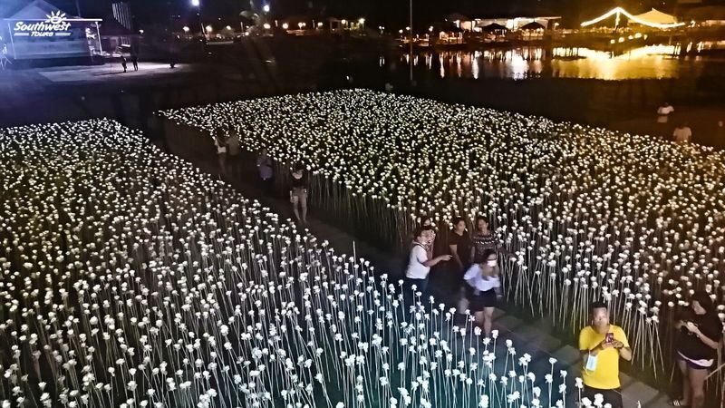 Cebu Panoramic Night Tour by Southwest Tours - 10,000 Roses: a short stop with a big view