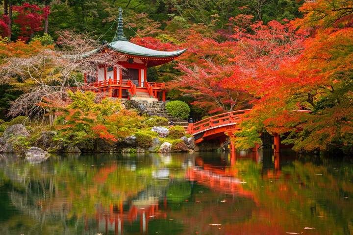 Central Japan Express 7-Day Tour by Europamundo - Tokyo: big sights, long day