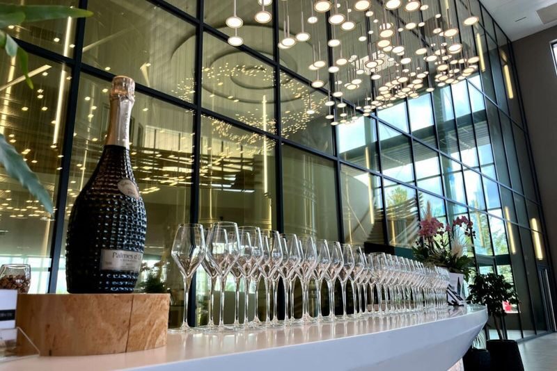 Champagne Tasting Tour in Champagne and Reims from Paris - Vineyards between the Champagne houses