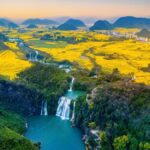 Chartered tour of Kunming, Yunnan + Luoping Canola Flower Sea one-day chartered tour - What the long drive means for your day