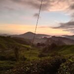 Chasing Dawn - Cameron Highlands Sunrise & Mossy Forest Tour - What the Mossy Forest walk adds