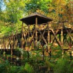 Chateau du Clos Luce ticket in Amboise - Look beyond the Mona Lisa