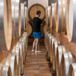 Chateauneuf-du-Pape & Luberon Full-Day Minivan Tour with Wine Tasting - What the Chateauneuf-du-Pape stop adds