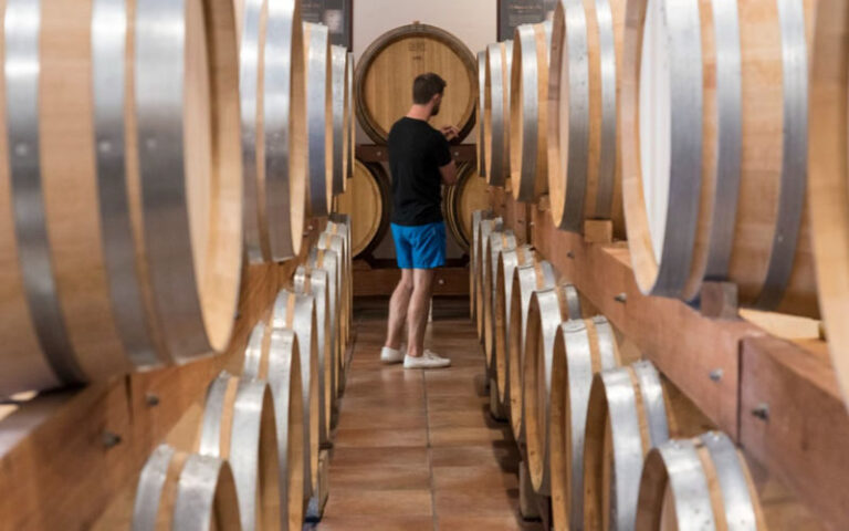 Chateauneuf-du-Pape & Luberon Full-Day Minivan Tour with Wine Tasting - What the Chateauneuf-du-Pape stop adds