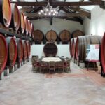 Chateauneuf-du-Pape Wine Tour from Avignon - Two winery visits, not just two glasses