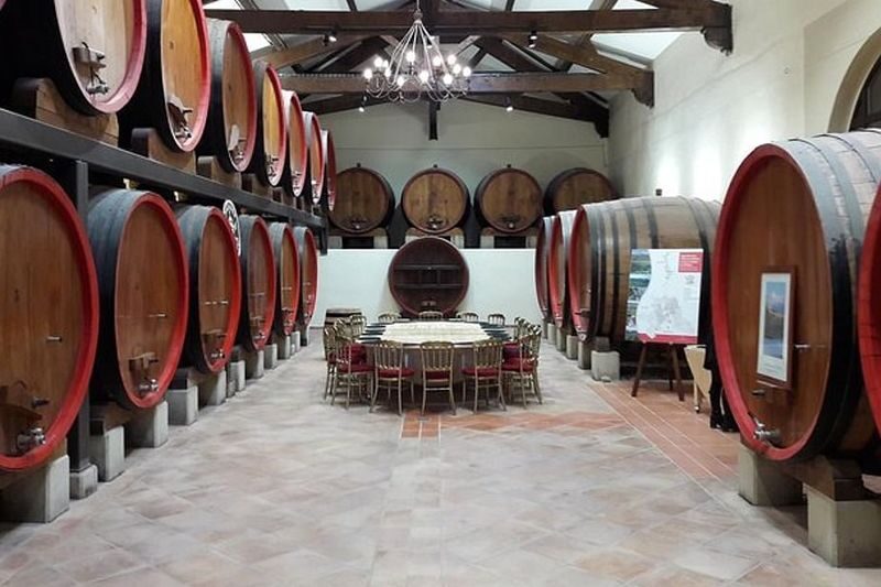 Chateauneuf-du-Pape Wine Tour from Avignon - Two winery visits, not just two glasses
