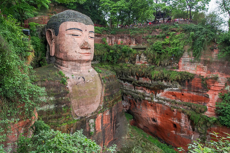 Chengdu 1-Day English Group Tour: Panda Breeding Research Base + Leshan Giant Buddha - At the Panda Breeding Research Base