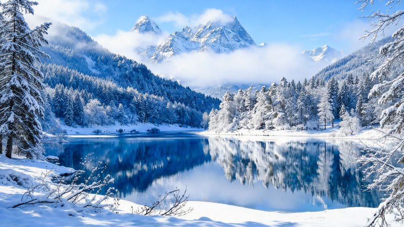 Chengdu Bipenggou Full-Day Alpine Scenery Tour - Inside Bipenggou: mountains, forest, and lakes