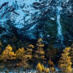 Chengdu Bipenggou Full-Day Mountain Tour with Hiking - Entering a high-altitude world